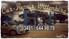 Logo Car-Repair-Wittenberg